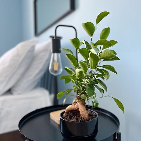 Apartamenty Rynek 7 เชียซึน ภายนอก รูปภาพ